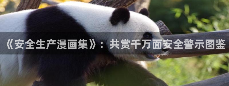 香蕉漫画黄漫免费网站